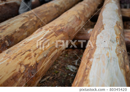 Wooden sawn logs on ground 80345420