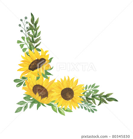 Sunflower and leaves frame, floral composition watercolor illustration, field agricultural plant summer bouquet, arrangement for thanksgiving, greeting card, boho decor, wedding invitation template 80345830