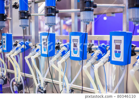 Automated goat milking suction machine with teat cups at exhibition Automated goat milking suction machine with teat cups at exhibition 80346110