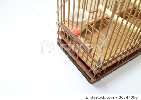 從斜上方看到的鳥籠入口 80347066