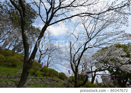 Odawara Castle Odawara Castle 80347672