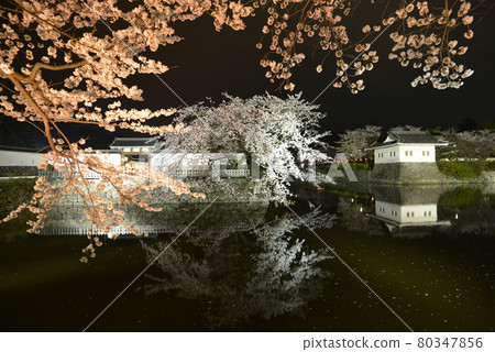 Odawara Castle Odawara Castle 80347856