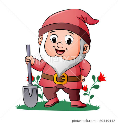 The dwarf is standing and holding the shovel in the garden  80349442