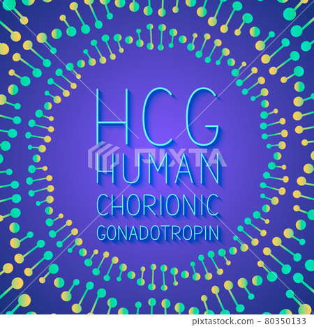 HCG typography poster. Human Chorionic Gonadotropin lettering typography poster . Vector illustration. Easy to edit template for banner, flyer, brochure, etc. 80350133