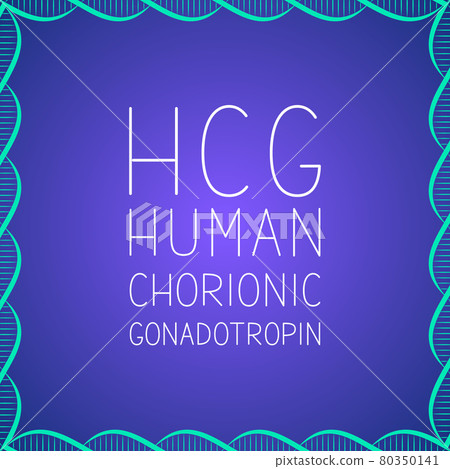 HCG typography poster. Human Chorionic Gonadotropin lettering typography poster . Vector illustration. Easy to edit template for banner, flyer, brochure, etc. 80350141