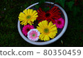 Kyoto Shorinji Hanatemizu Kyoto Shorinji Hanatemizu 80350459