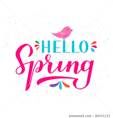 Hello spring calligraphy lettering isolated on white. Inspirational seasonal quote typography poster. Handwritten logo design. Easy to edit vector template for banner, flyer, sticker, t-shirt, etc. Hello spring calligraphy lettering isolated on white. Inspirational seasonal quote typography poster. Handwritten logo design. Easy to edit vector template for banner, flyer, sticker, t-shirt, etc. 80351131