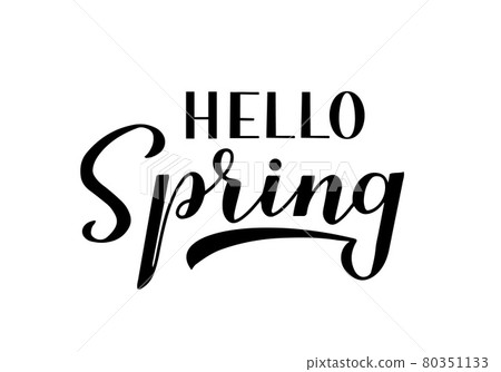 Hello spring calligraphy lettering isolated on white. Inspirational seasonal quote typography poster. Handwritten logo design. Easy to edit vector template for banner, flyer, sticker, t-shirt, etc. Hello spring calligraphy lettering isolated on white. Inspirational seasonal quote typography poster. Handwritten logo design. Easy to edit vector template for banner, flyer, sticker, t-shirt, etc. 80351133
