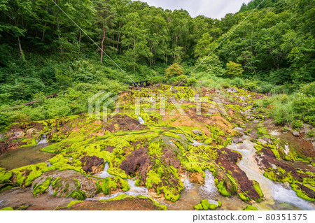 (Gunma Prefecture) Chatsubomi Moss Park Hole Hell 80351375