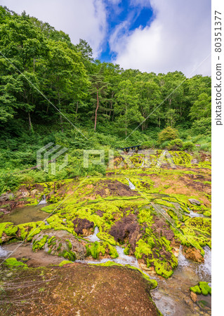 (Gunma Prefecture) Chatsubomi Moss Park Hole Hell (Gunma Prefecture) Chatsubomi Moss Park Hole Hell 80351377