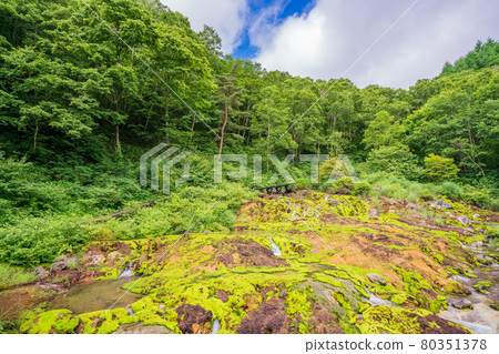 (Gunma Prefecture) Chatsubomi Moss Park Hole Hell (Gunma Prefecture) Chatsubomi Moss Park Hole Hell 80351378