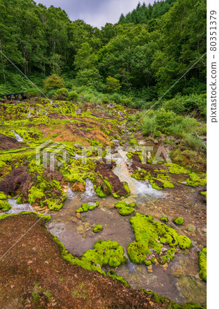 (Gunma Prefecture) Chatsubomi Moss Park Hole Hell (Gunma Prefecture) Chatsubomi Moss Park Hole Hell 80351379