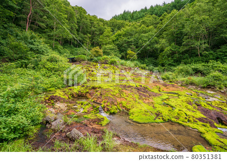 (群馬縣) Chatsubomi Moss Park Hole Hell (群馬縣) Chatsubomi Moss Park Hole Hell 80351381