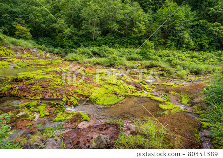 (群馬縣) Chatsubomi Moss Park Hole Hell (群馬縣) Chatsubomi Moss Park Hole Hell 80351389