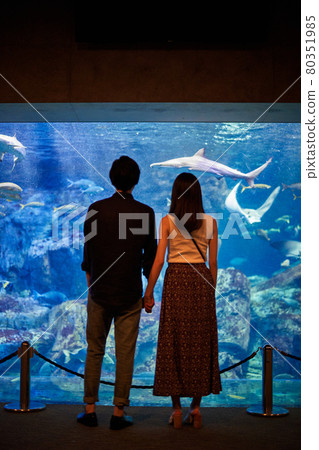 A young couple watching fish and creatures on an aquarium date A young couple watching fish and creatures on an aquarium date 80351985