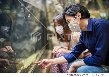 A young couple watching fish and creatures on an aquarium date A young couple watching fish and creatures on an aquarium date 80351989
