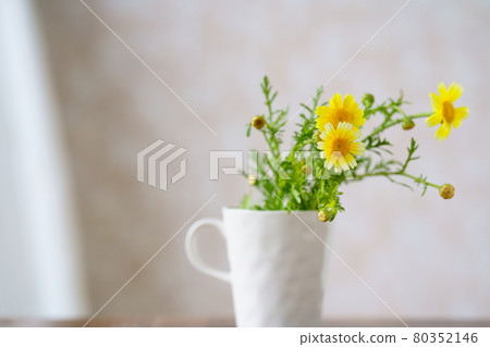 在杯子的一朵花環菊花 在杯子的一朵花環菊花 80352146