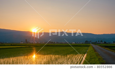 Rural scenery in early summer (dusk) Rural scenery in early summer (dusk) 80352866