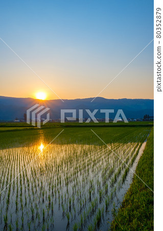 Rural scenery in early summer (dusk) 80352879