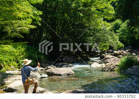 Tenkara mountain stream fishing 80353702