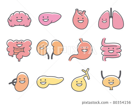 Smile character icon of human internal organs and organs Smile character icon of human internal organs and organs 80354156