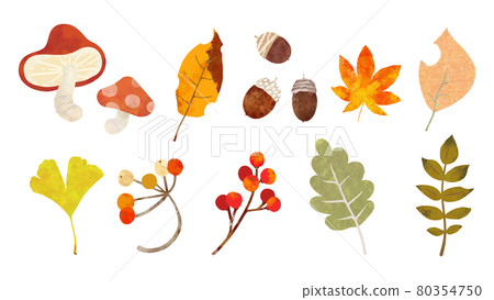 Handwritten parts that can be used for autumn design 80354750