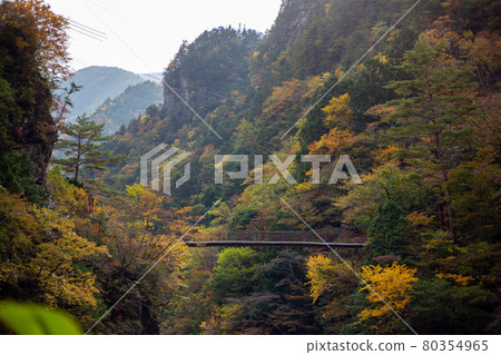 Autumn valley 80354965