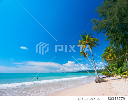 Quiet tropical beach with palm trees (Khaorak, Phang Nga Province, Kingdom of Thailand) 80355779