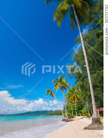 Quiet tropical beach with palm trees (Khaorak, Phang Nga Province, Kingdom of Thailand) Quiet tropical beach with palm trees (Khaorak, Phang Nga Province, Kingdom of Thailand) 80355782