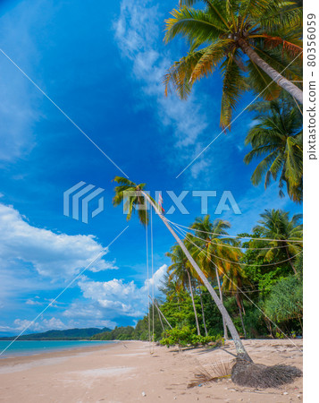 Quiet tropical beach with palm trees (Khaorak, Phang Nga Province, Kingdom of Thailand) Quiet tropical beach with palm trees (Khaorak, Phang Nga Province, Kingdom of Thailand) 80356059