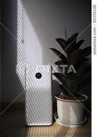 Air purifier and houseplant in living room. Healthy Wellness life and Air Pollution Concept. Air purifier and houseplant in living room. Healthy Wellness life and Air Pollution Concept. 80356186