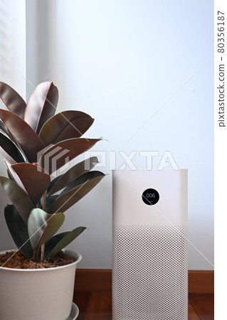 Air purifier and houseplant in minimal house. Air purifier and houseplant in minimal house. 80356187