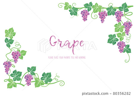 葡萄插圖的背景框架材料 80356282