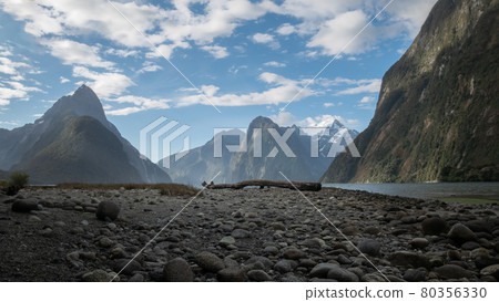 Fjord landscape with tree trunk located in the middle of the frame and impressive peaks in backdrop. Photo taken before sunset in Milford Sound Fjord landscape with tree trunk located in the middle of the frame and impressive peaks in backdrop. Photo taken before sunset in Milford Sound 80356330