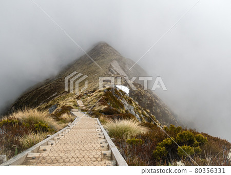 Wooden pathway leading through mountain ridgeline shrouded by fog, shot at Kepler Track, Fiordland National Park, New Zealand Wooden pathway leading through mountain ridgeline shrouded by fog, shot at Kepler Track, Fiordland National Park, New Zealand 80356331