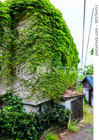 Ikeshima Kobansho Ruins, Entertainment District Ruins [Nagasaki City] 80356451