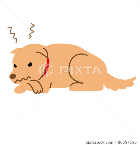 狗的健康、疾病、壞情緒、沮喪的插圖素材 80357550