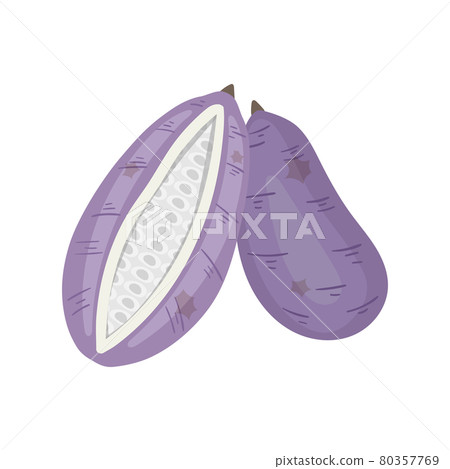 Akebi vector illustration - Stock Illustration [80357769] - PIXTA