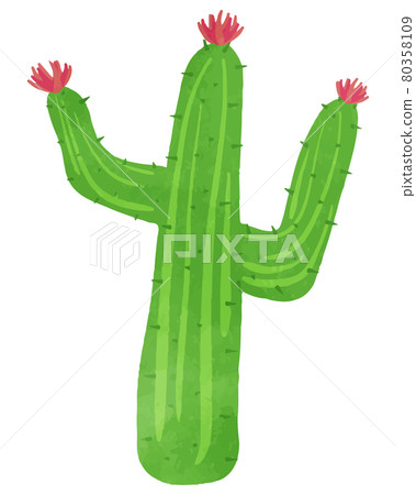 Cactus pictures Free Stock Vectors