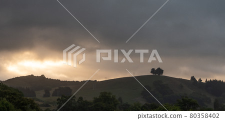 Cloudy sunset scene with hills and solitary trees on top of them. Shot in Kaikoura, New Zealand Cloudy sunset scene with hills and solitary trees on top of them. Shot in Kaikoura, New Zealand 80358402