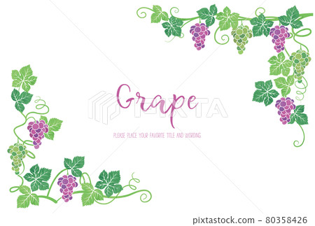 葡萄插圖的背景框架材料 葡萄插圖的背景框架材料 80358426