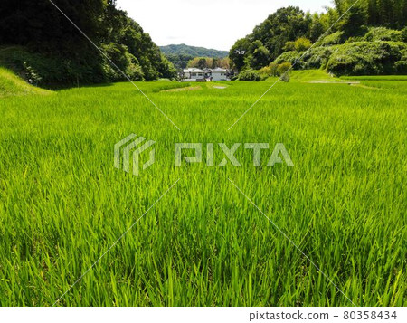 Drone aerial image 80358434