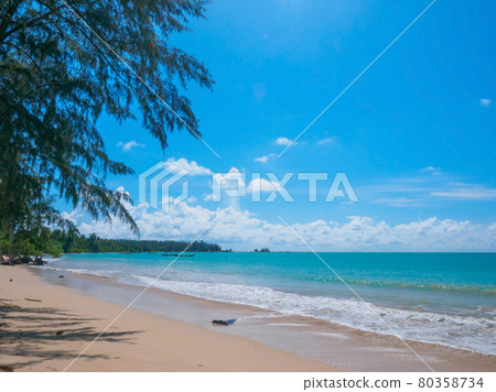 Tropical beaches with coniferous trees (Kaorak, Phang Nga Province, Kingdom of Thailand) Tropical beaches with coniferous trees (Kaorak, Phang Nga Province, Kingdom of Thailand) 80358734