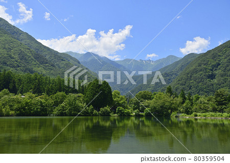 Komagomei Komagomei 80359504