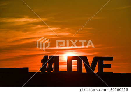 愛和馬託海濱公園的夜景 80360326