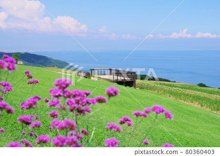 兵庫縣淡路島淡路花敷（俯瞰大阪灣） 80360403
