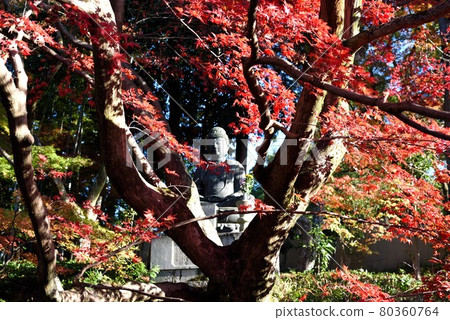 Buddha statue at Eishoin Temple in autumn colors in Kyoto 80360764