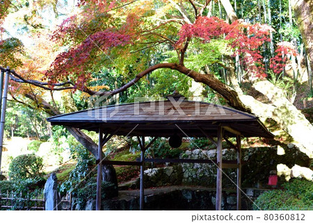 Kyoto Autumn Leaves Eishoin Well 80360812