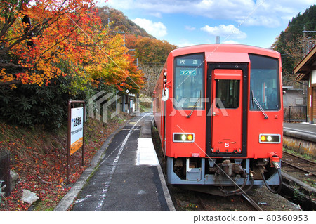 木月線出雲坂站 | 紅葉與柴油車 80360953