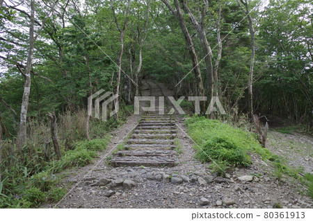 日本山地景觀 日本山地景觀 80361913